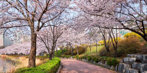 Hamilton ETFs Announces April 2025 Cash Distributions